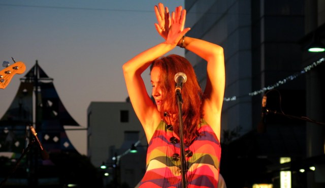 Juliana Areias - Metropolis show at the Ellington 13 July 2013