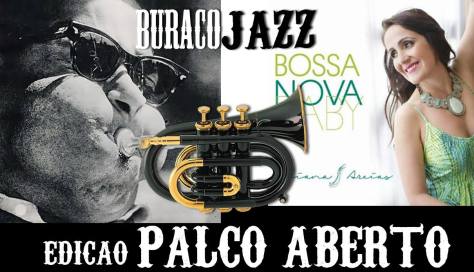 buraco-do-jazz-juliana-areias